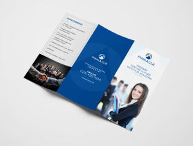 Brochure Design Entry 1600229 submitted by lurth to the contest for Pinnacle Consulting Solutions run by lpaffile